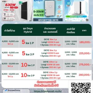 ชุดโซลาร์เซลล์ระบบไฮบริด DEYE +Dyness  Batt Lithium 10 kw